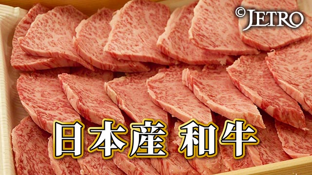 牛肉大国オーストラリアへ日本の和牛を売り込め 19 これまでの番組 国際ビジネス情報番組 世界は今 Jetro Global Eye ジェトロ